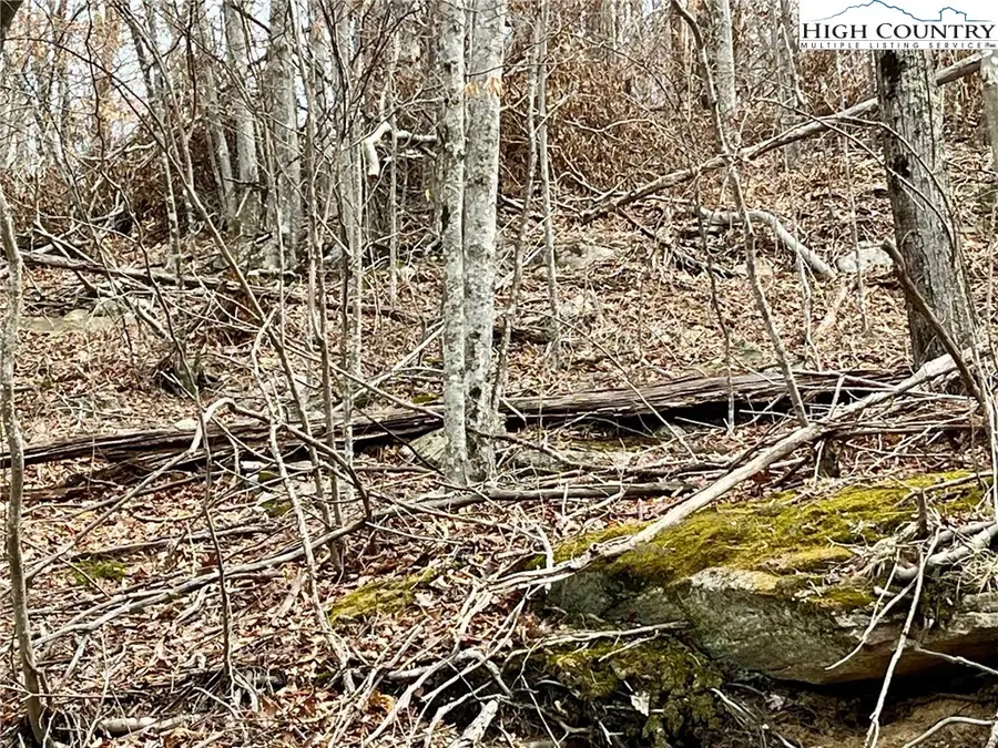 105 Thistle Lane, Beech Mountain, NC 28604 - Image #3