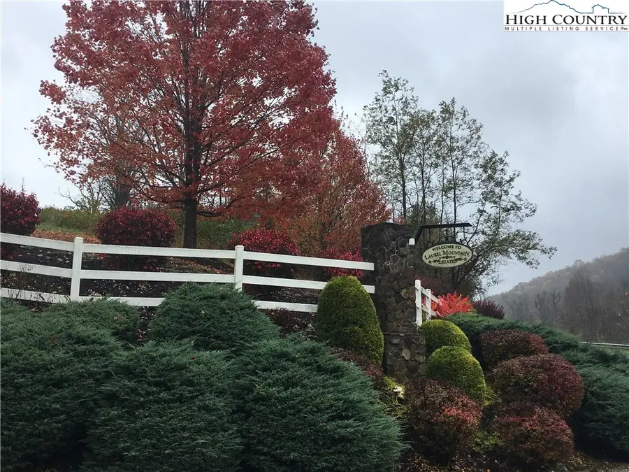 Lot #45, Sec. 1 Tom's Knob Road, Sparta, NC 28675 - Image #2