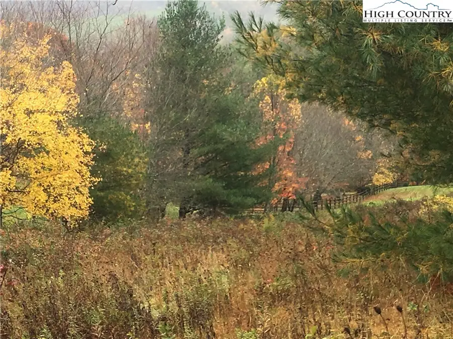 Lot #45, Sec. 1 Tom's Knob Road, Sparta, NC 28675 - Image #3