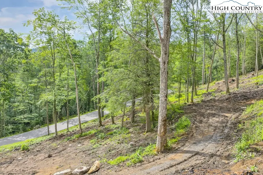 Lot 90 Eagles Nest Trail, Banner Elk, NC 28604 - Image #3