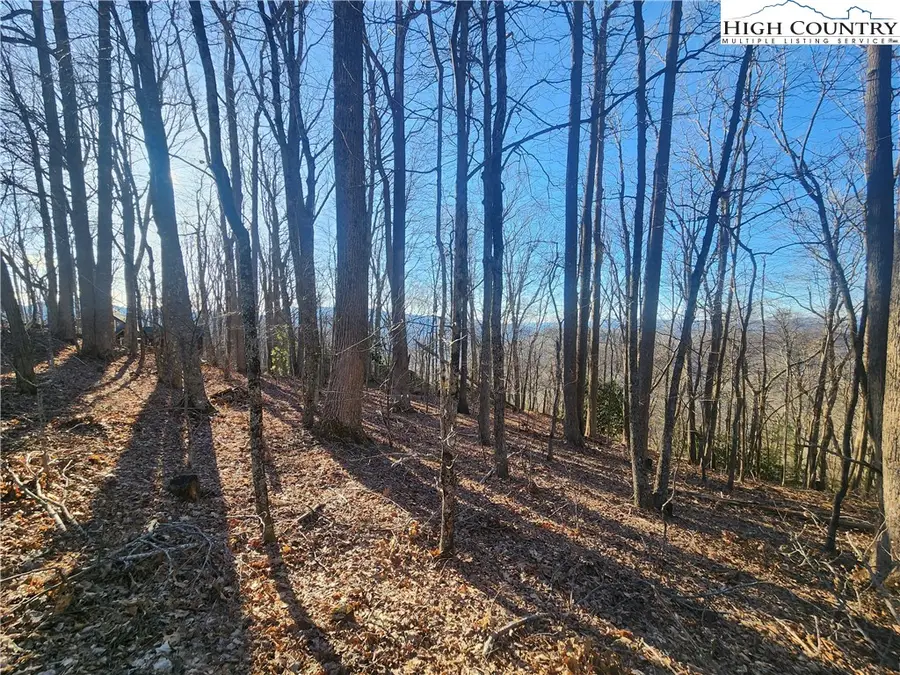 Lot 9 Celtic Way, Boone, NC 28607 - Image #2