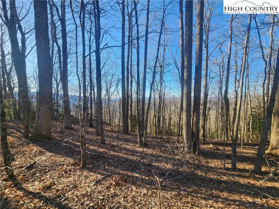 Lot 9 Celtic Way, Boone, NC 28607 - Image #3