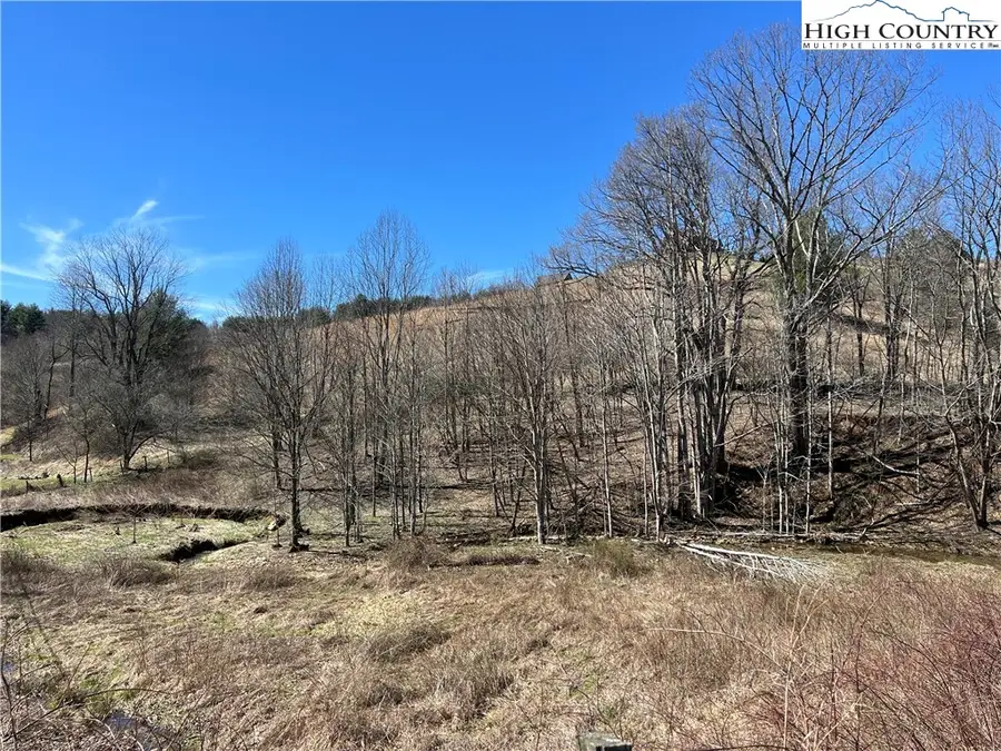 Lot 23/24 Cristina Lane, Vilas, NC 28692 - Image #3