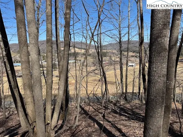 0 Roby Poe Road, Jefferson, NC 28640