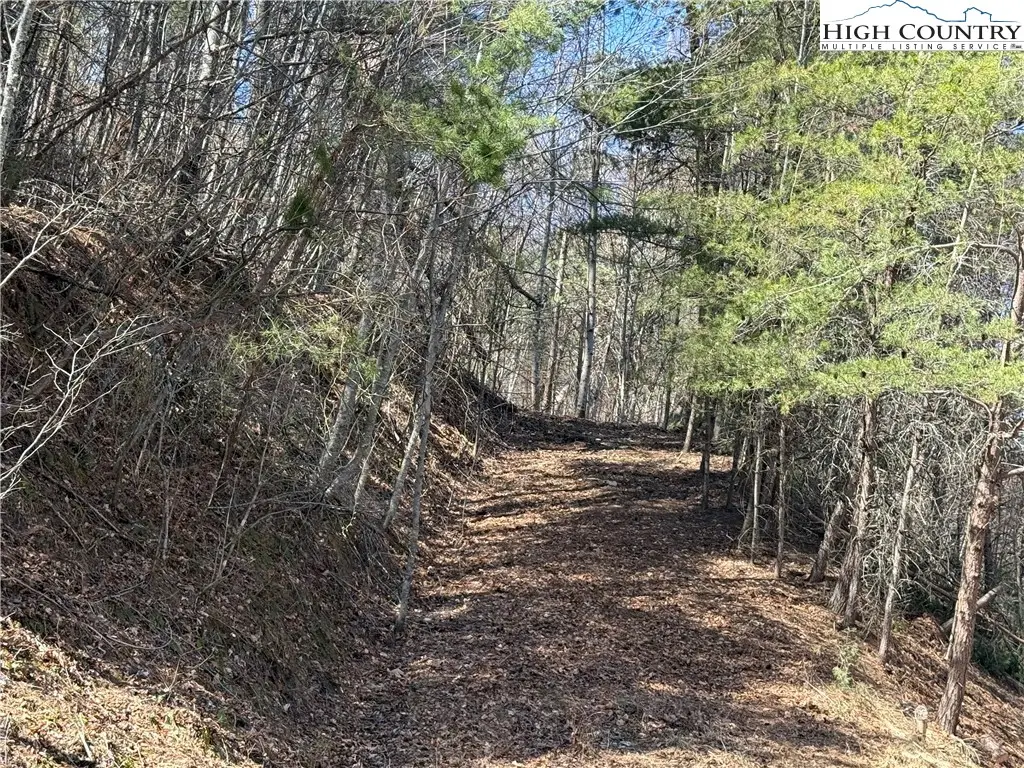 TBD Lot 30 Shawnee Trail, Jefferson, NC 28640 - Image #1
