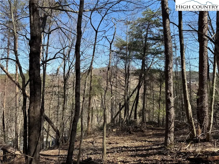 TBD Lot 30 Shawnee Trail, Jefferson, NC 28640 - Image #3