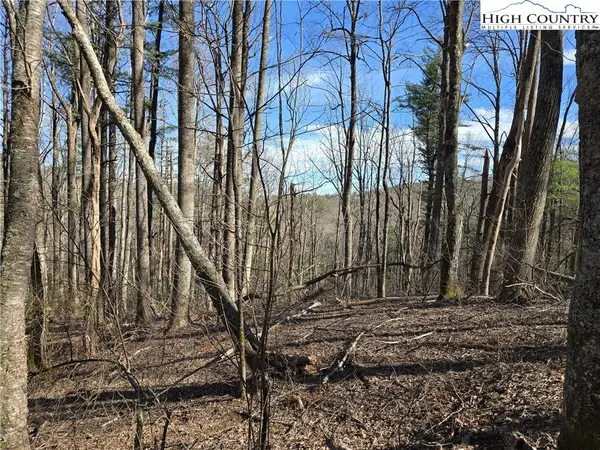 TBD Parkway Estates Rd, Laurel Springs, NC 28644