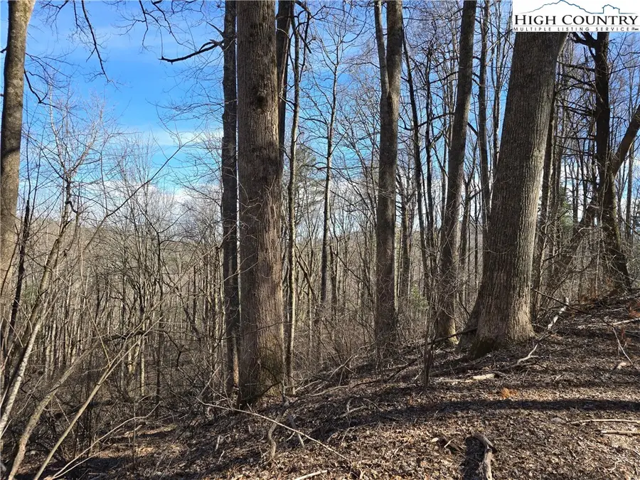 TBD Parkway Estates Rd, Laurel Springs, NC 28644 - Image #2