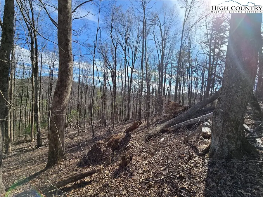 TBD Parkway Estates Rd, Laurel Springs, NC 28644 - Image #2