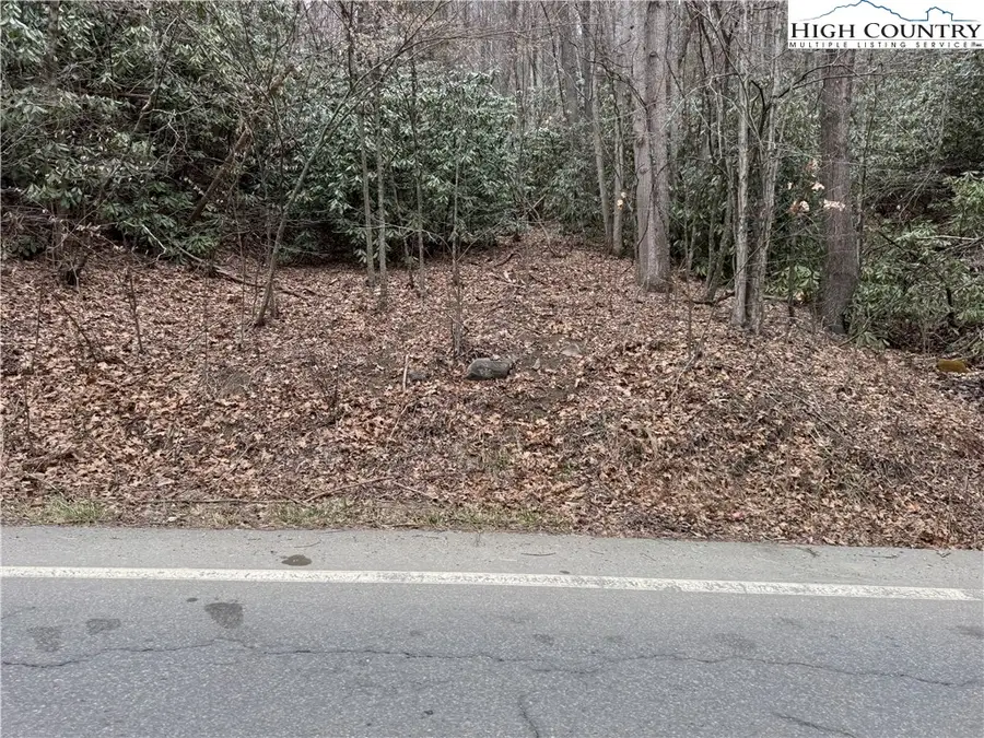 TBD Banner Elk Highway, Elk Park, NC 28622 - Image #2