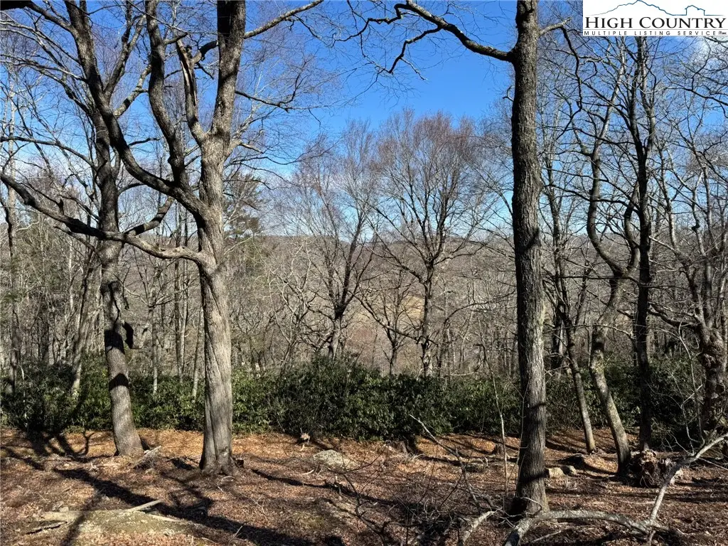 Lot 240 Thunder Wood Trail, Blowing Rock, NC 28605 - Image #1