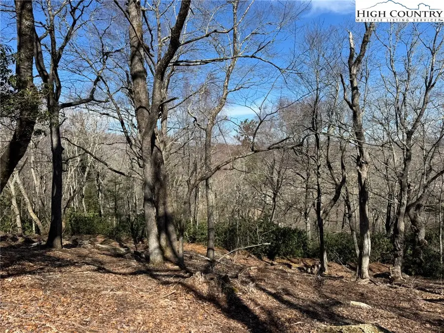 Lot 240 Thunder Wood Trail, Blowing Rock, NC 28605 - Image #2