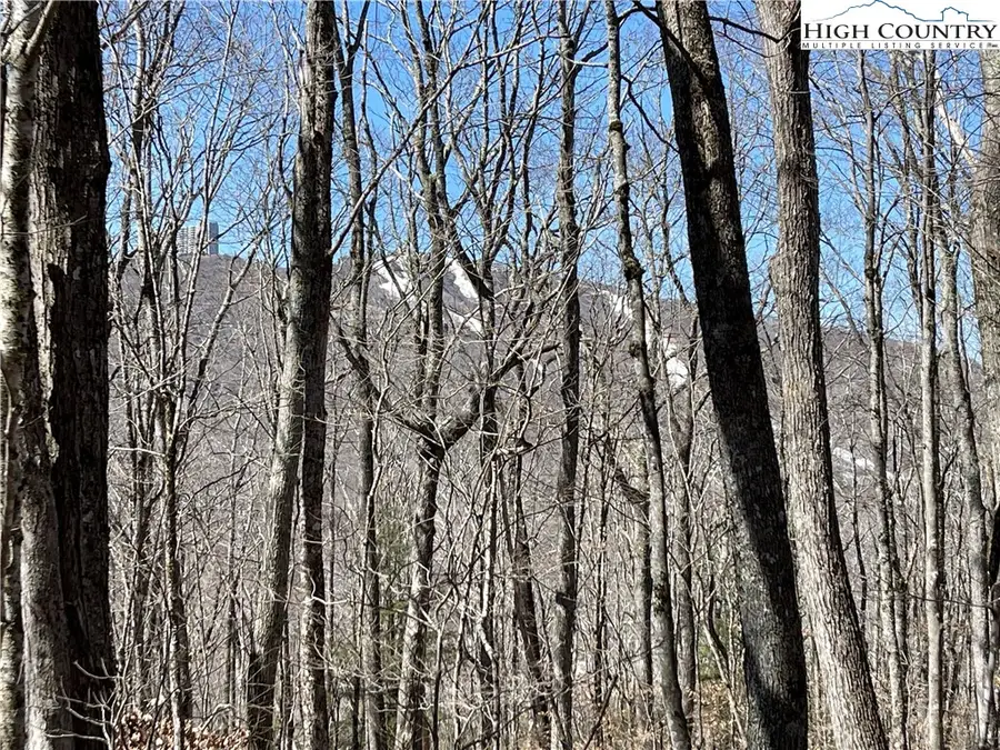 Lot B Tyneridge Drive, Banner Elk, NC 28604 - Image #3