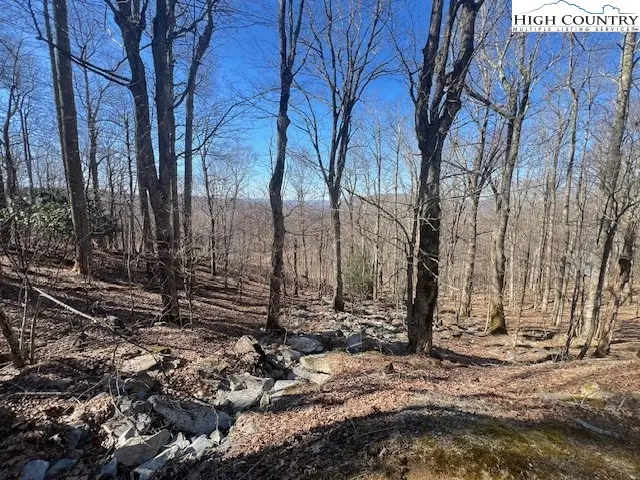 Lot 37 Ski Acres Drive, Blowing Rock, NC 28605 - Image #2