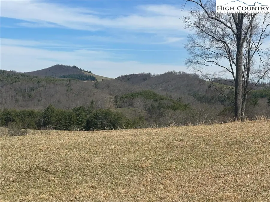 Lot 14 Turtle Ridge Road, Sparta, NC 28675 - Image #3