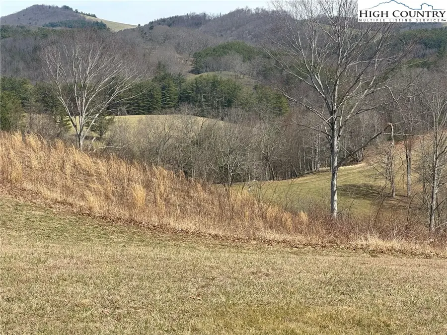 Lot 13 Turtle Ridge Road, Sparta, NC 28675 - Image #2