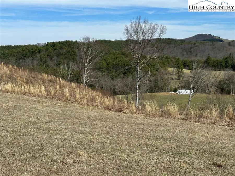 Lot 13 Turtle Ridge Road, Sparta, NC 28675 - Image #3
