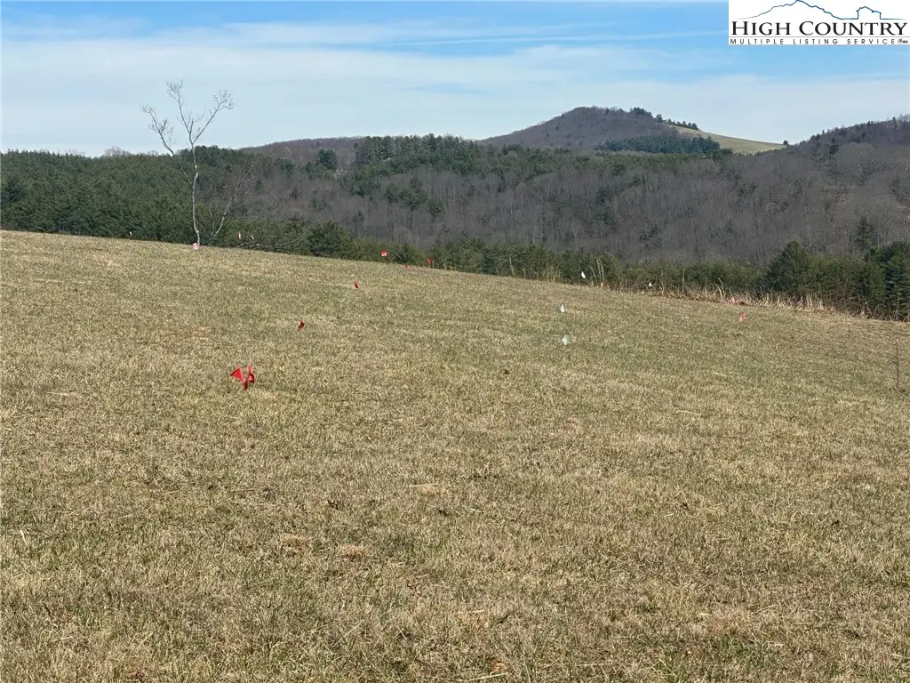 Lot 12 Turtle Ridge Road, Sparta, NC 28675 - Image #1