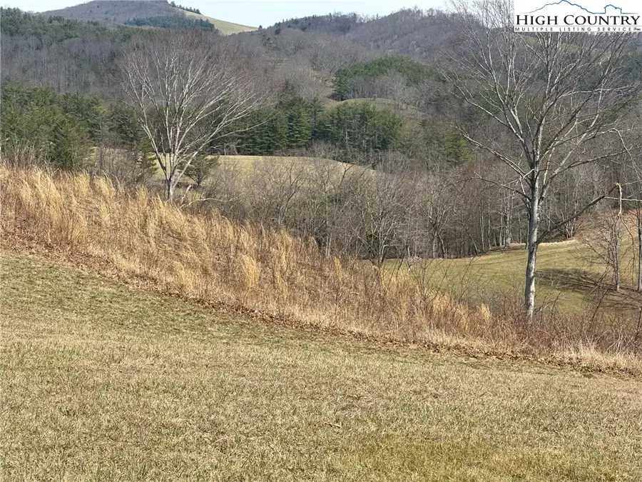 Lot 12 Turtle Ridge Road, Sparta, NC 28675 - Image #2