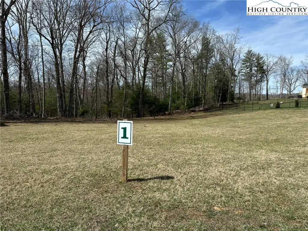 Lot 1 Turtle Ridge Road, Sparta, NC 28675 - Image #1