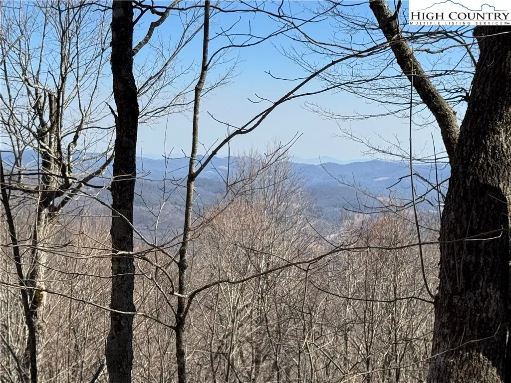 Lot 29 Crown Maple Lane, Old Fields, NC 28640 - Image #1