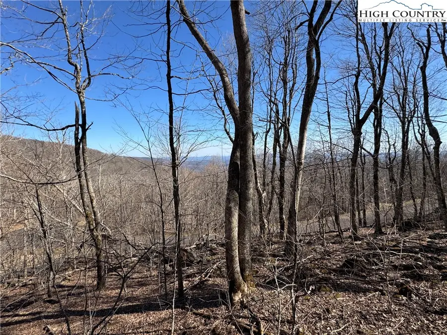 Lot 29 Crown Maple Lane, Old Fields, NC 28640 - Image #2