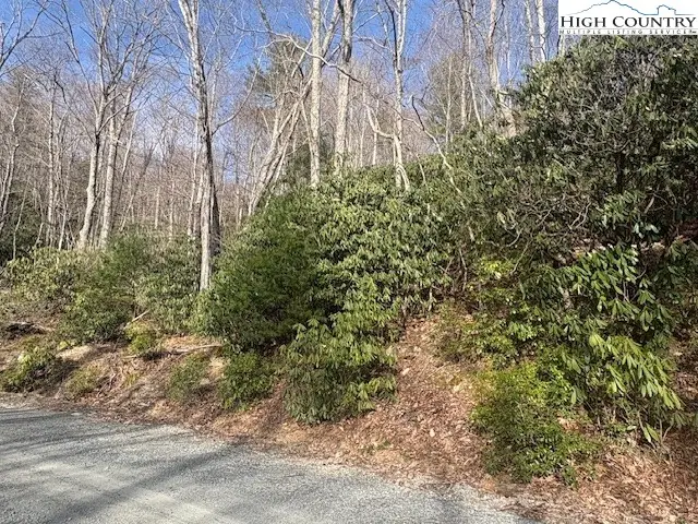 293 Poplar Drive, Beech Mountain, NC 28604 - Image #2