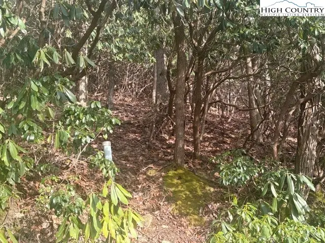 293 Poplar Drive, Beech Mountain, NC 28604 - Image #3