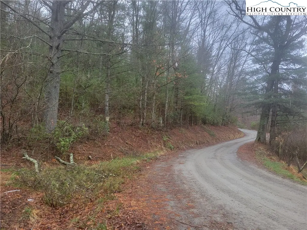 TBD Old Mill Road, Glade Valley, NC 28627 - Image #1