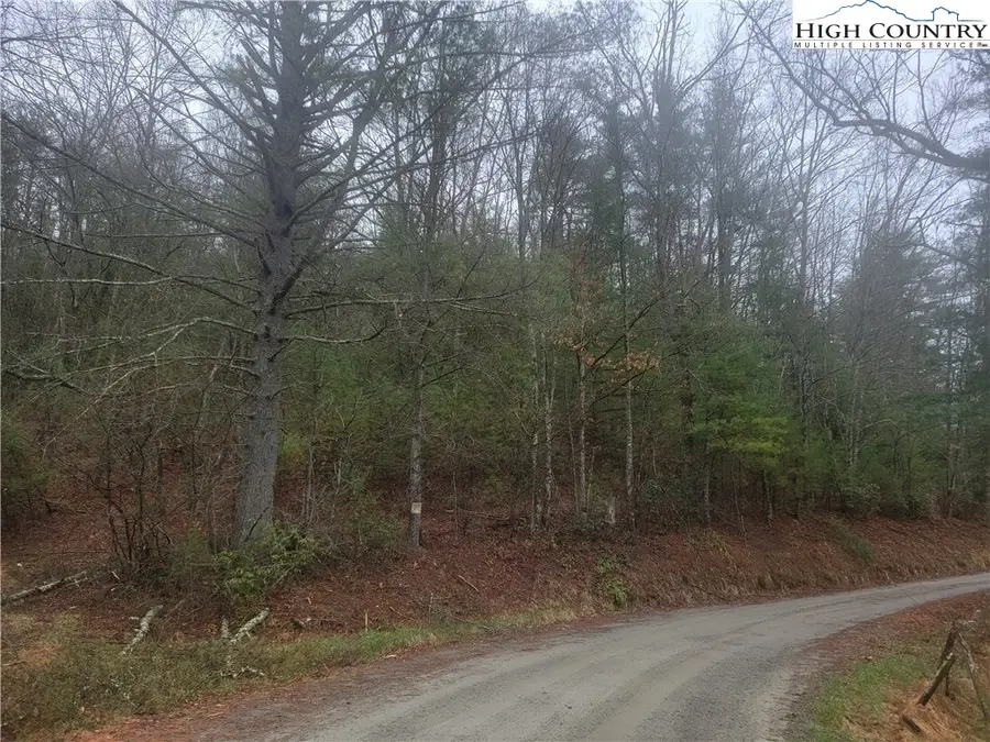 TBD Old Mill Road, Glade Valley, NC 28627 - Image #2