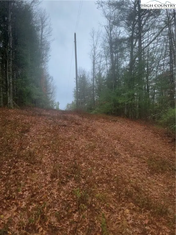 TBD Old Mill Road, Glade Valley, NC 28627 - Image #3