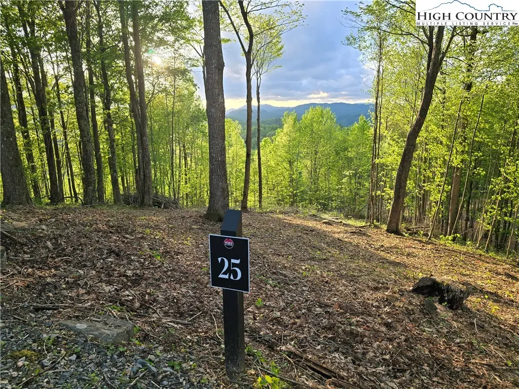 Lot 25 Deer Trail Lane, Elk Park, NC 28622 - Image #1