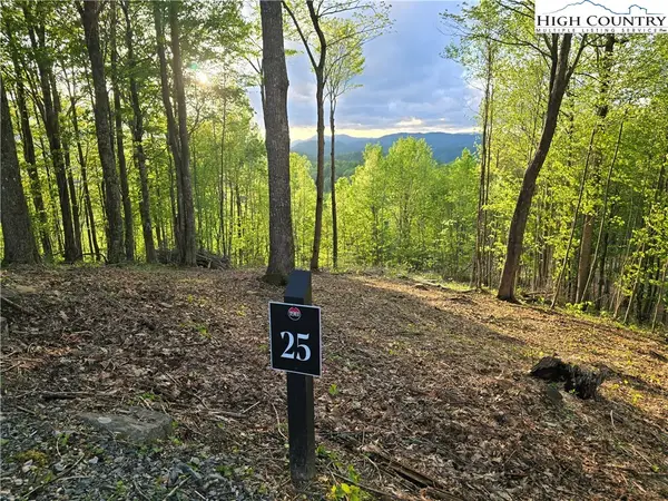 Lot 25 Deer Trail Lane, Elk Park, NC 28622