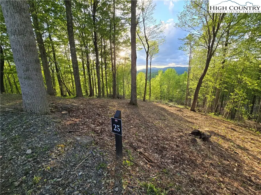 Lot 25 Deer Trail Lane, Elk Park, NC 28622 - Image #2