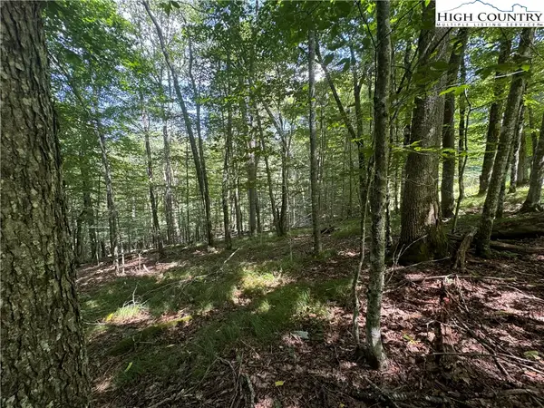 217 Sawmill Branch Road, Beech Mountain, NC 28604