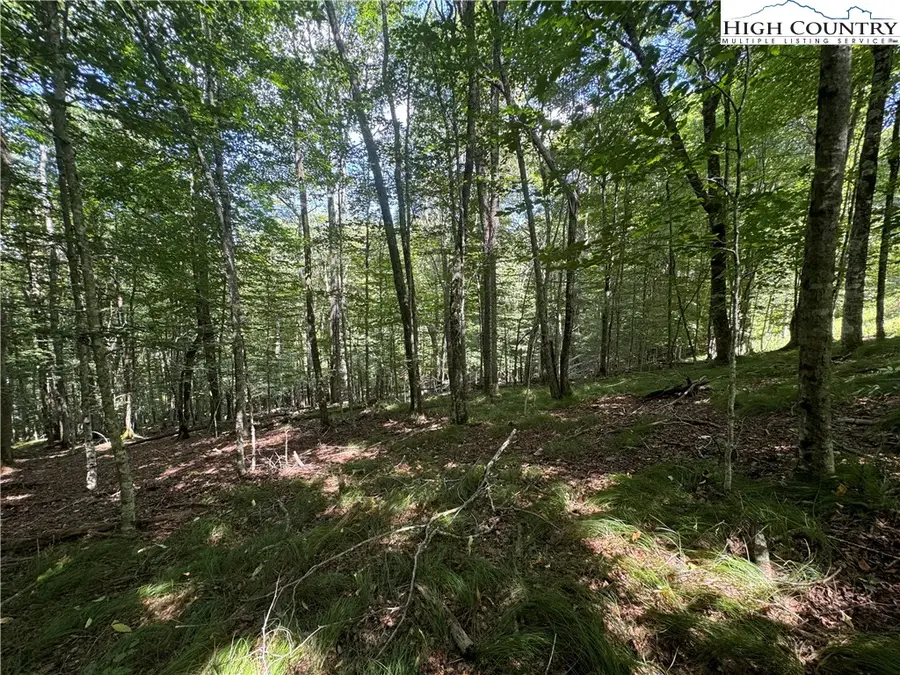 217 Sawmill Branch Road, Beech Mountain, NC 28604 - Image #2