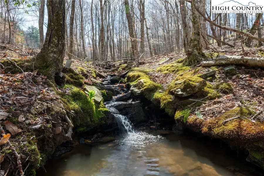 Lot 36 Poplar Forest Drive, Boone, NC 28607 - Image #3