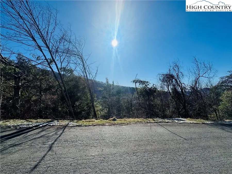 Lot 72 Denise Drive, West Jefferson Township, NC 24894 - Image #3