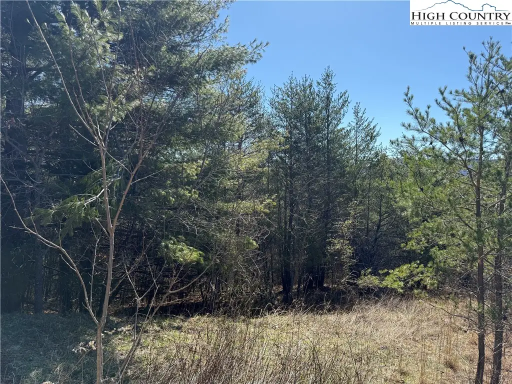 Lot 3 Alta Vista Lane, Sparta, NC 28675 - Image #1