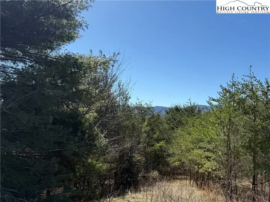 Lot 3 Alta Vista Lane, Sparta, NC 28675 - Image #2