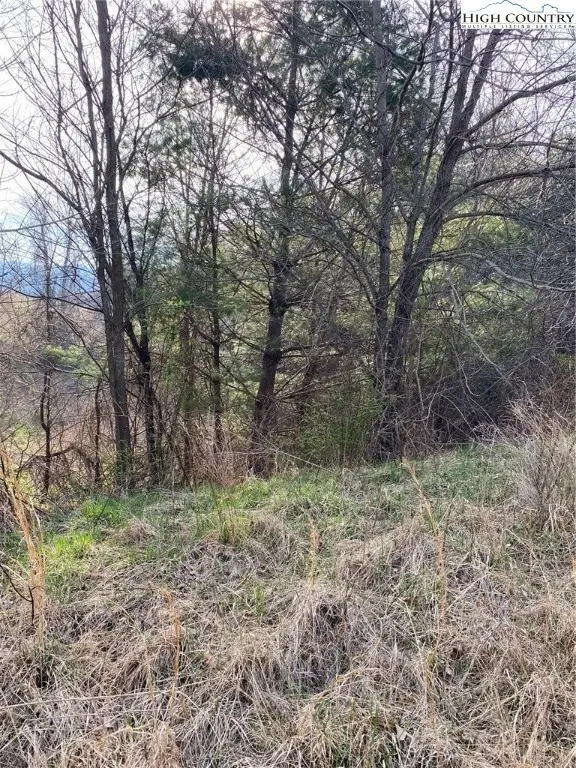 8 Autumn Glen Drive, Sparta, NC 28675 - Image #2