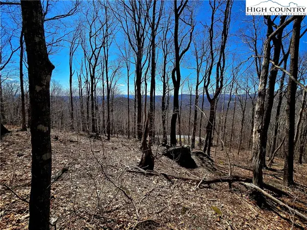 Lot 78 Elk Creek Mountain Parkway, Todd, NC 28684