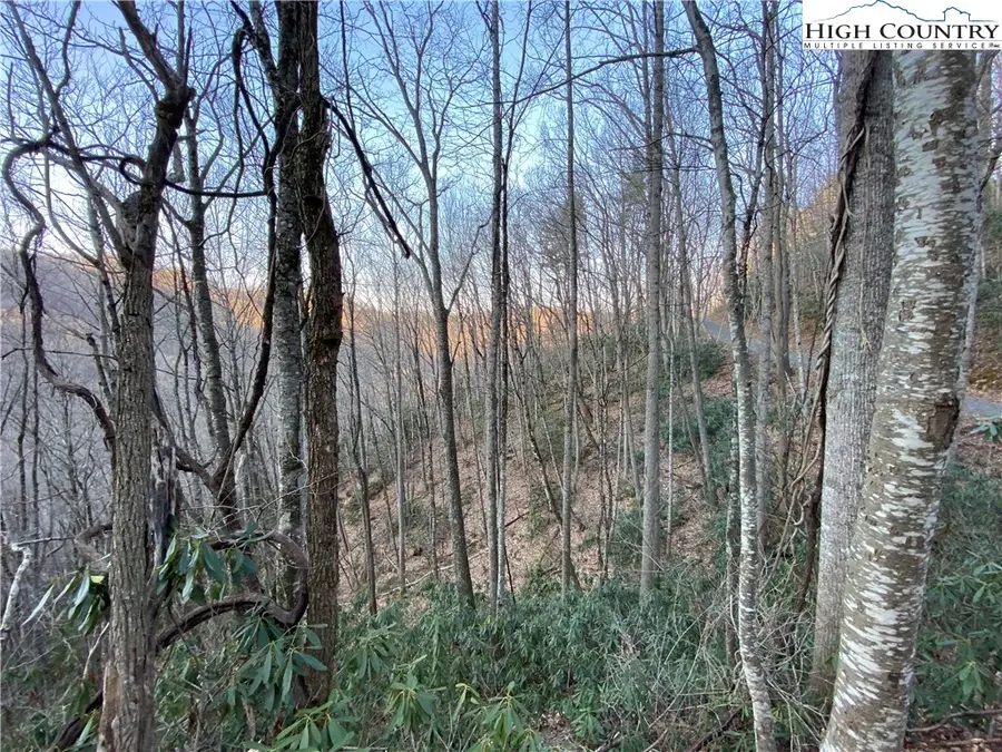 2.13 Acres Big Ridge Road, Bakersville, NC 28705 - Image #2
