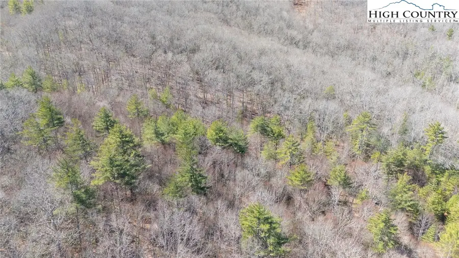 TBD Old Hanging Rock Road, Newland, NC 28657 - Image #3