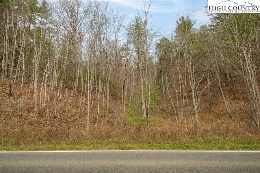 TBD 321 Highway, Sugar Grove, NC 38679 - Image #2