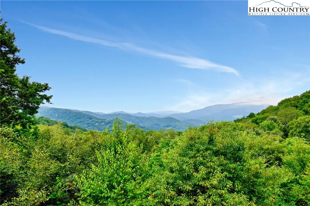 86 Tyneridge Road, Banner Elk, NC 28604 - #1