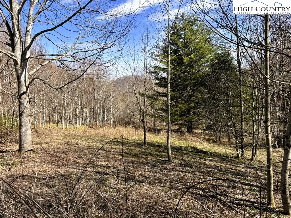 Lot 3 Larkspur Trail, Banner Elk, NC 28604 - Image #1