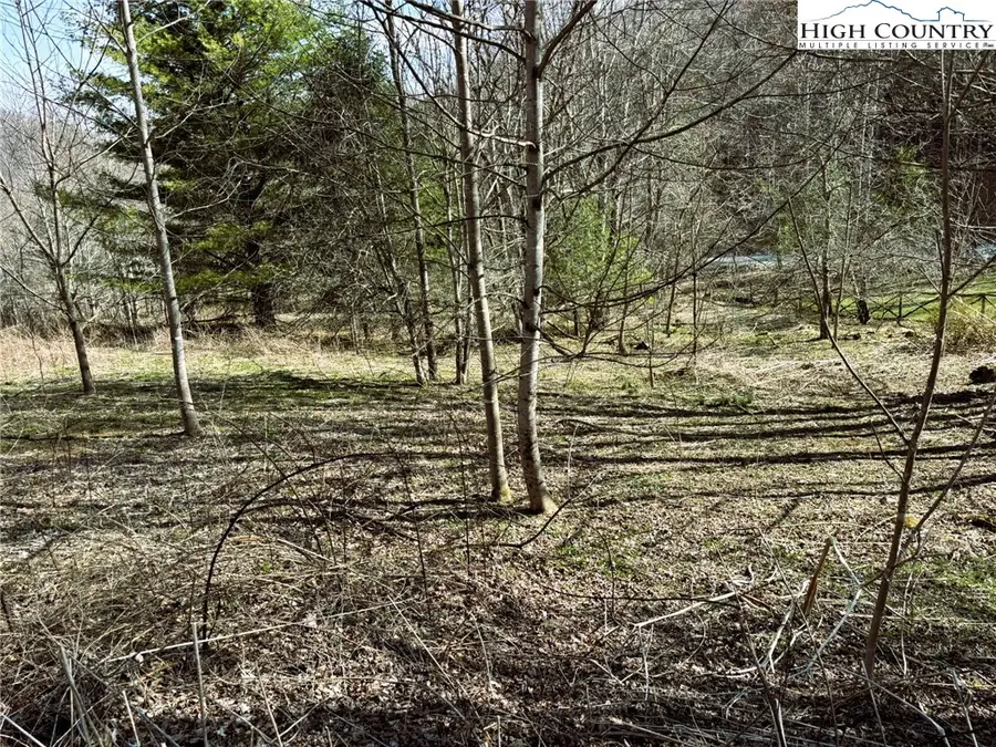 Lot 3 Larkspur Trail, Banner Elk, NC 28604 - Image #2