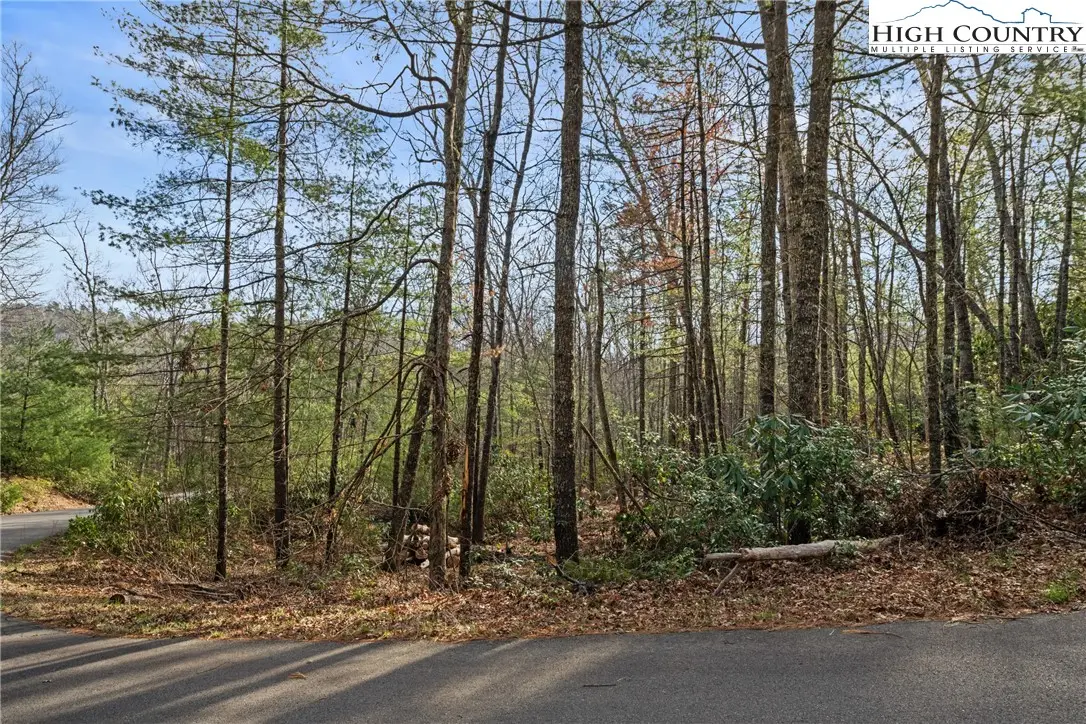 TBD Forever Drive, Fleetwood, NC 28626 - Image #1