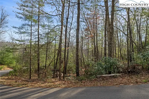 TBD Forever Drive, Fleetwood, NC 28626